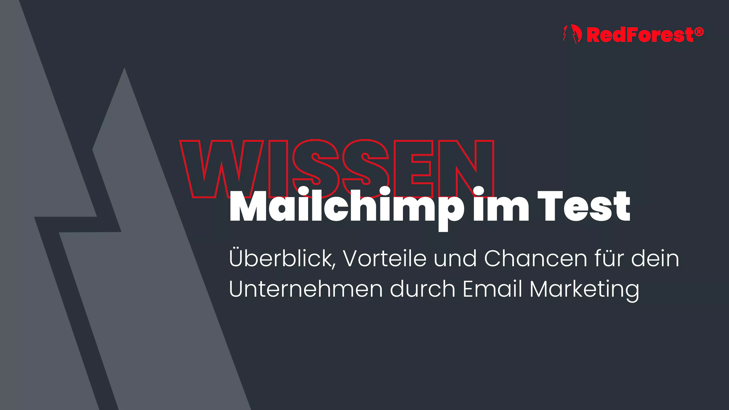 Mailchimp im Test - Überblick, Vorteile und Chancen für dein Unternehmen durch E-Mail Marketing